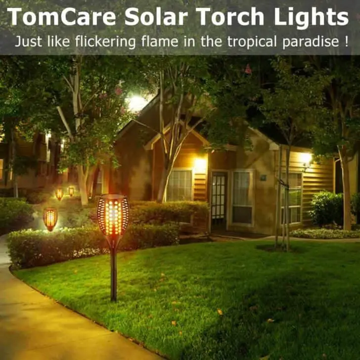 Best Outdoor Solar Lights