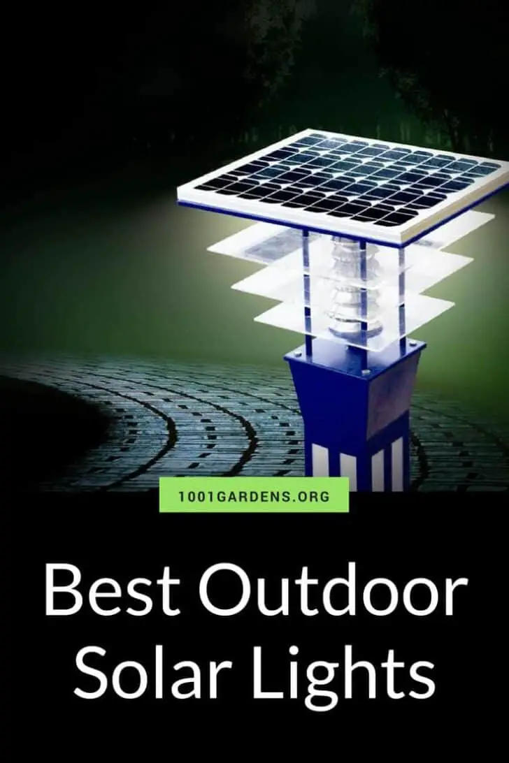 Best Outdoor Solar Lights for your Garden 6 - Garden Decor