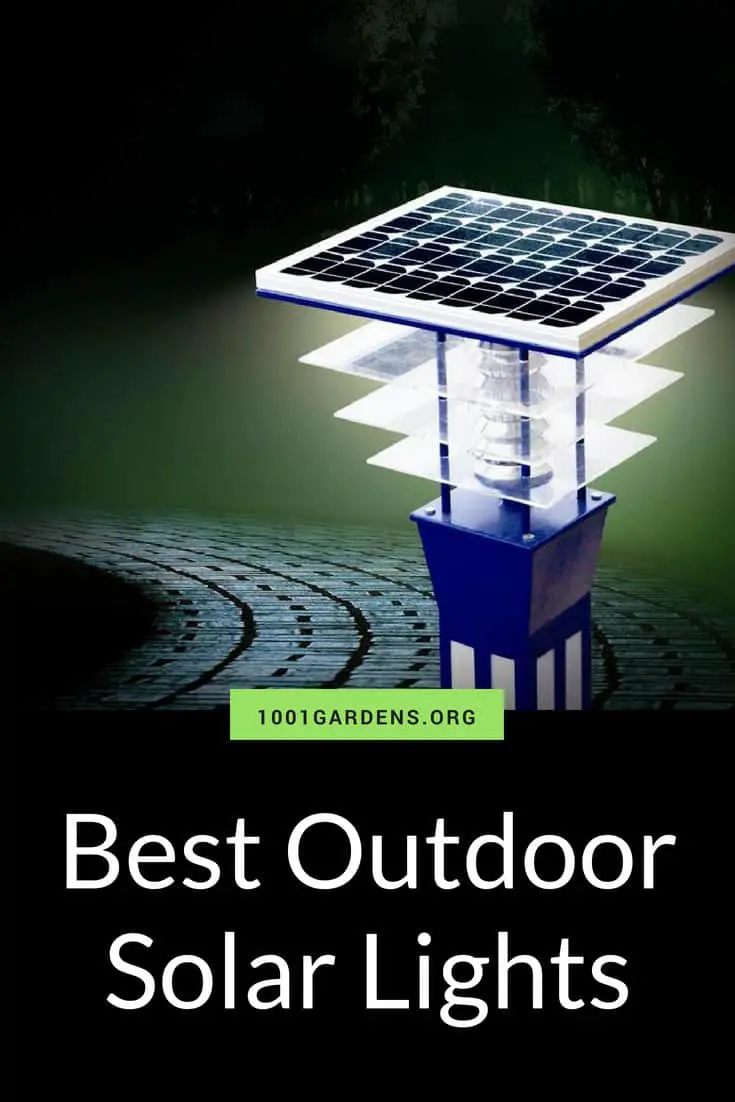 Best Outdoor Solar Lights for your Garden - 1001 Gardens