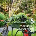 Five Essential Gardening Jobs You Should Do This Summer 1 - Garden Decor