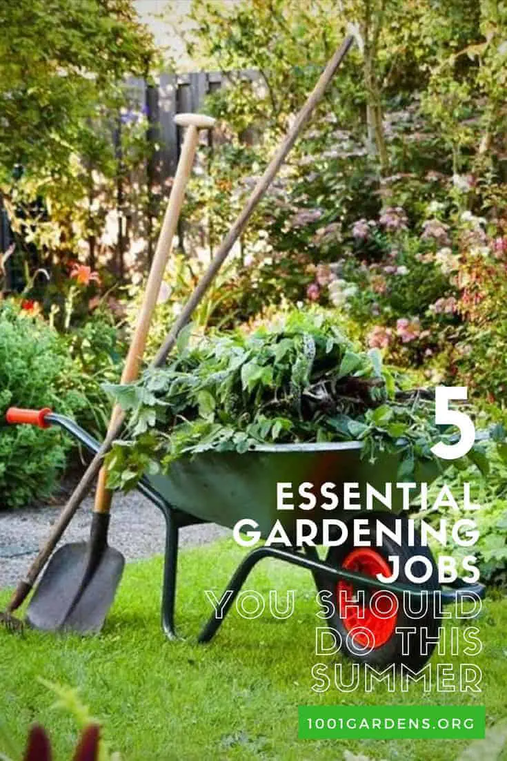 Five Essential Gardening Jobs You Should Do This Summer - garden-decor Five Essential Gardening Jobs You Should Do This Summer - garden-decor