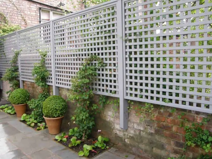 How You Can Enjoy Privacy in Your Garden 4 - Privacy Fences & Garden Gates - 1001 Gardens How You Can Enjoy Privacy in Your Garden 3 - Privacy Fences & Garden Gates