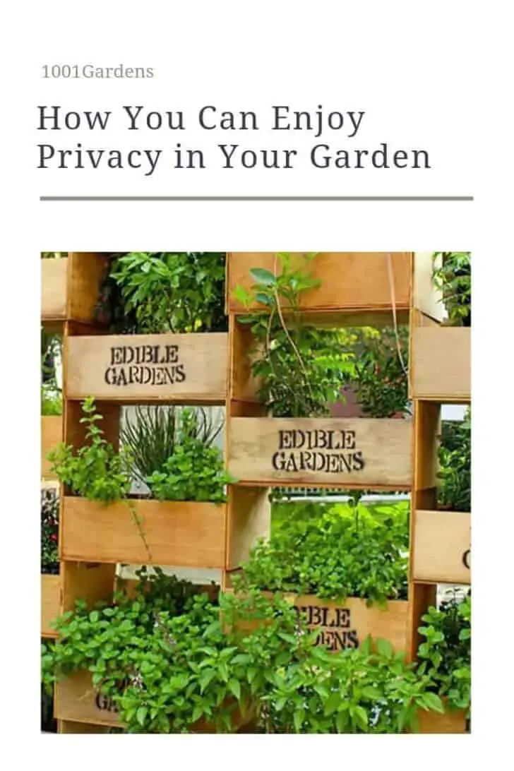 How You Can Enjoy Privacy in Your Garden