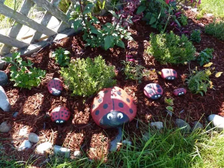 Let’s Rock It: 5 Whimsical Garden Decor Ideas with Stones and Rocks