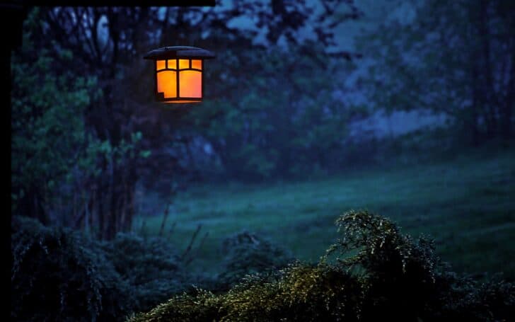 3 Lighting Options for Your Garden 1 - Outdoor Lighting