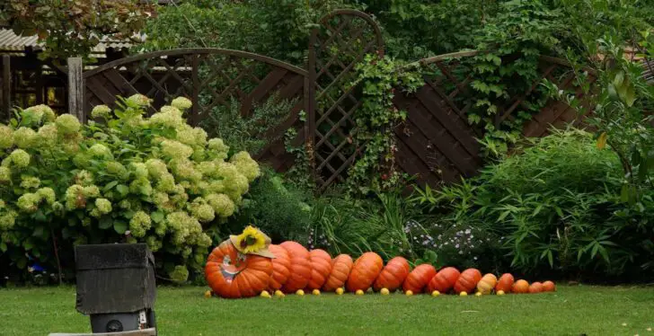 27 Best Outdoor Halloween Decorations 12 - Garden Decor