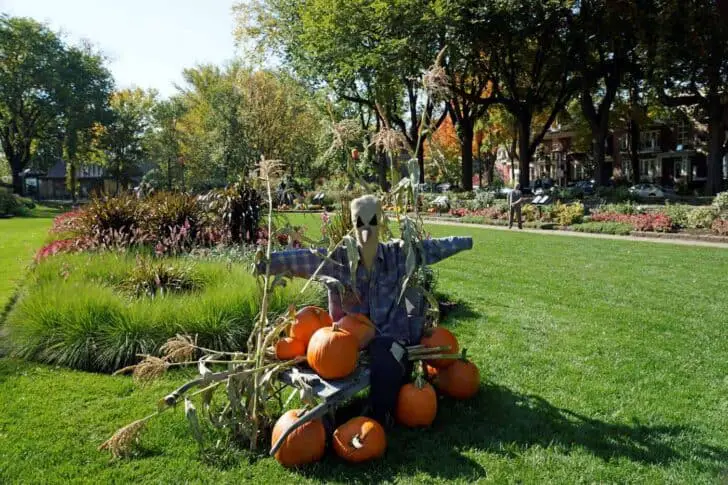 27 Best Outdoor Halloween Decorations 5 - Garden Decor