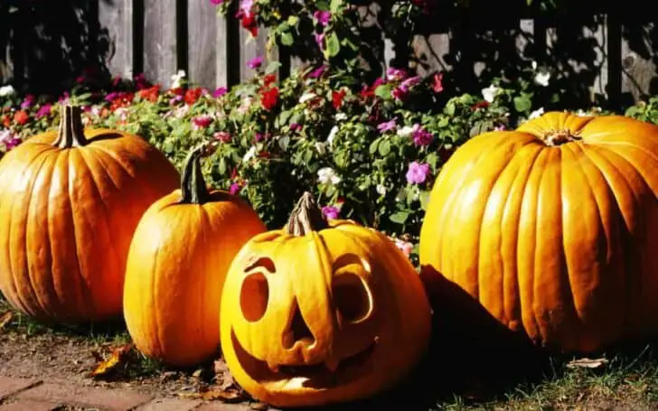 27 Best Outdoor Halloween Decorations 2 - Garden Decor