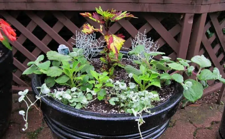 Gardening Without A Garden: 10 Ideas For Your Patio Or Balcony 7 - Urban Gardens & Agriculture