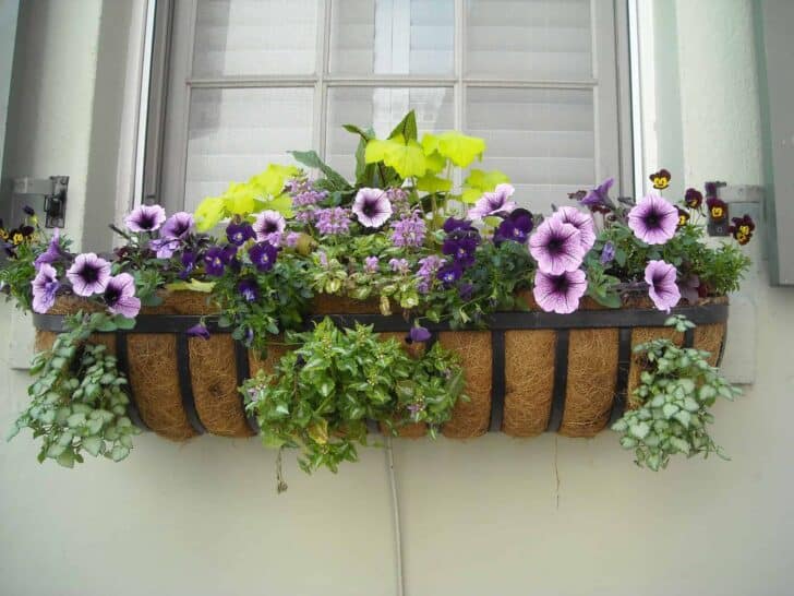 Gardening Without A Garden: 10 Ideas For Your Patio Or Balcony 2 - Urban Gardens & Agriculture - 1001 Gardens Gardening Without A Garden: 10 Ideas For Your Patio Or Balcony 1 - Urban Gardens & Agriculture