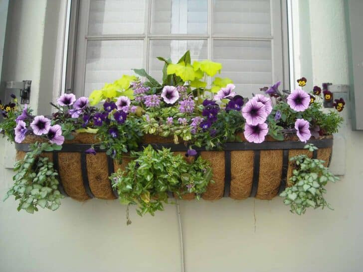 Gardening Without A Garden: 10 Ideas For Your Patio Or Balcony 1 - Urban Gardens & Agriculture