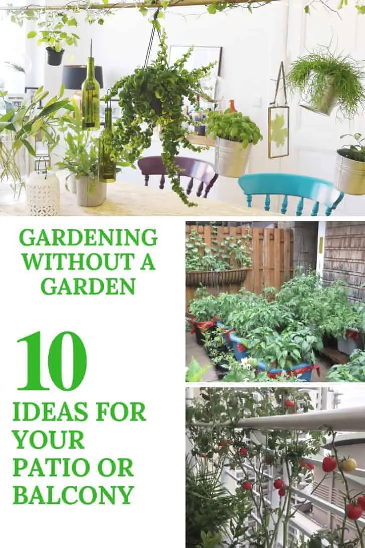 Gardening Without A Garden: 10 Ideas For Your Patio Or Balcony 20 - diygardenideas