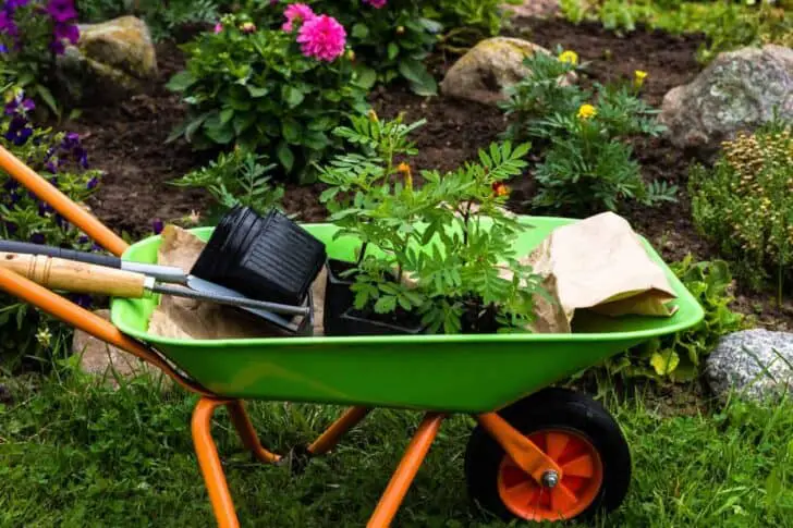 20 Must-Have Gardening Tools Every Gardener Needs: The Complete list 53 - Garden Tools