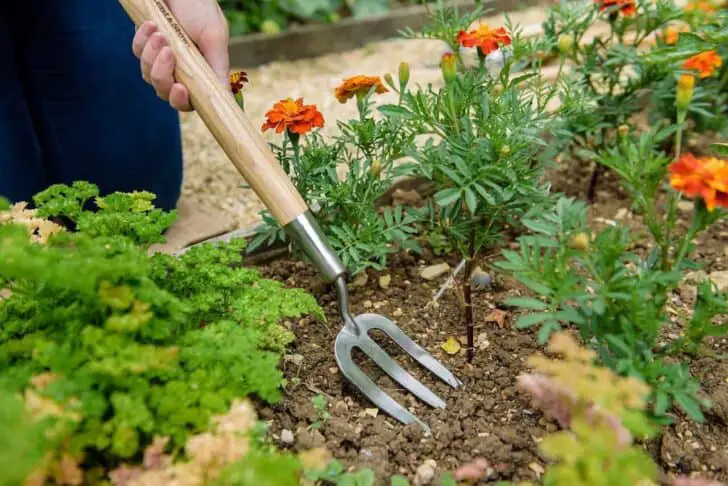 20 Must-Have Gardening Tools Every Gardener Needs: The Complete list 58 - Garden Tools