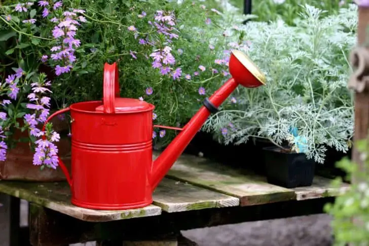 20 Must-Have Gardening Tools Every Gardener Needs: The Complete list 78 - Garden Tools