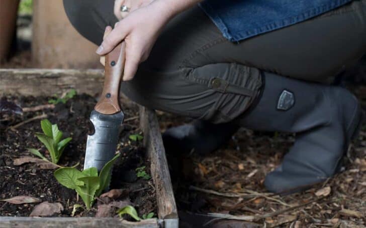 20 Must-Have Gardening Tools Every Gardener Needs: The Complete list