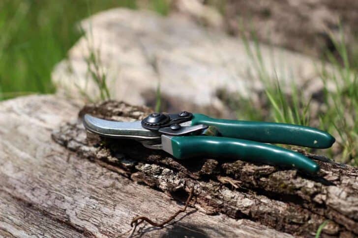 20 Must-Have Gardening Tools Every Gardener Needs: The Complete list