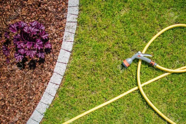 20 Must-Have Gardening Tools Every Gardener Needs: The Complete list