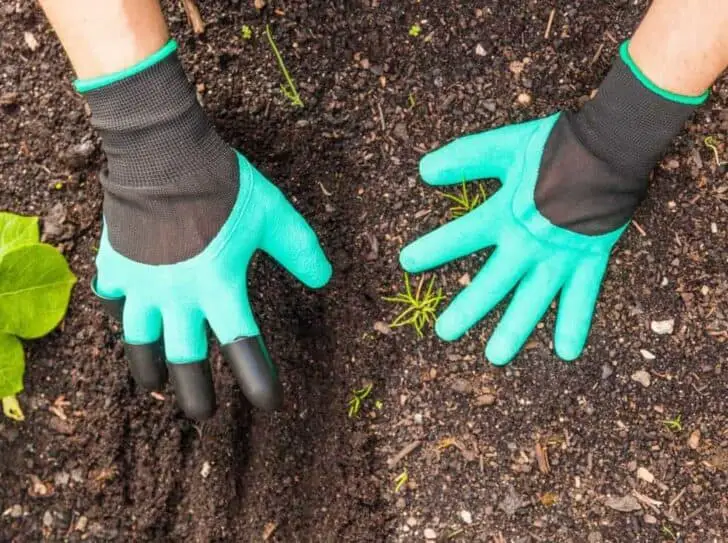 20 Must-Have Gardening Tools Every Gardener Needs: The Complete list