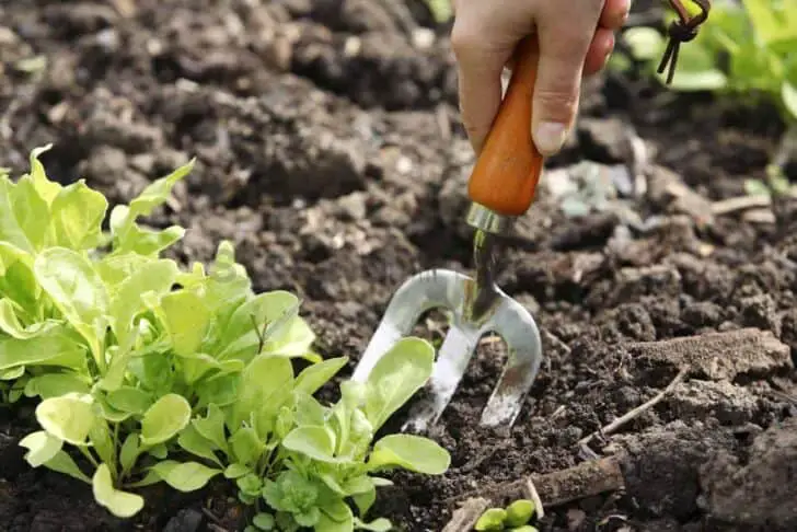 20 Must-Have Gardening Tools Every Gardener Needs: The Complete list 33 - Garden Tools