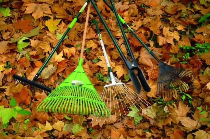 20 Must-Have Gardening Tools Every Gardener Needs: The Complete list ...