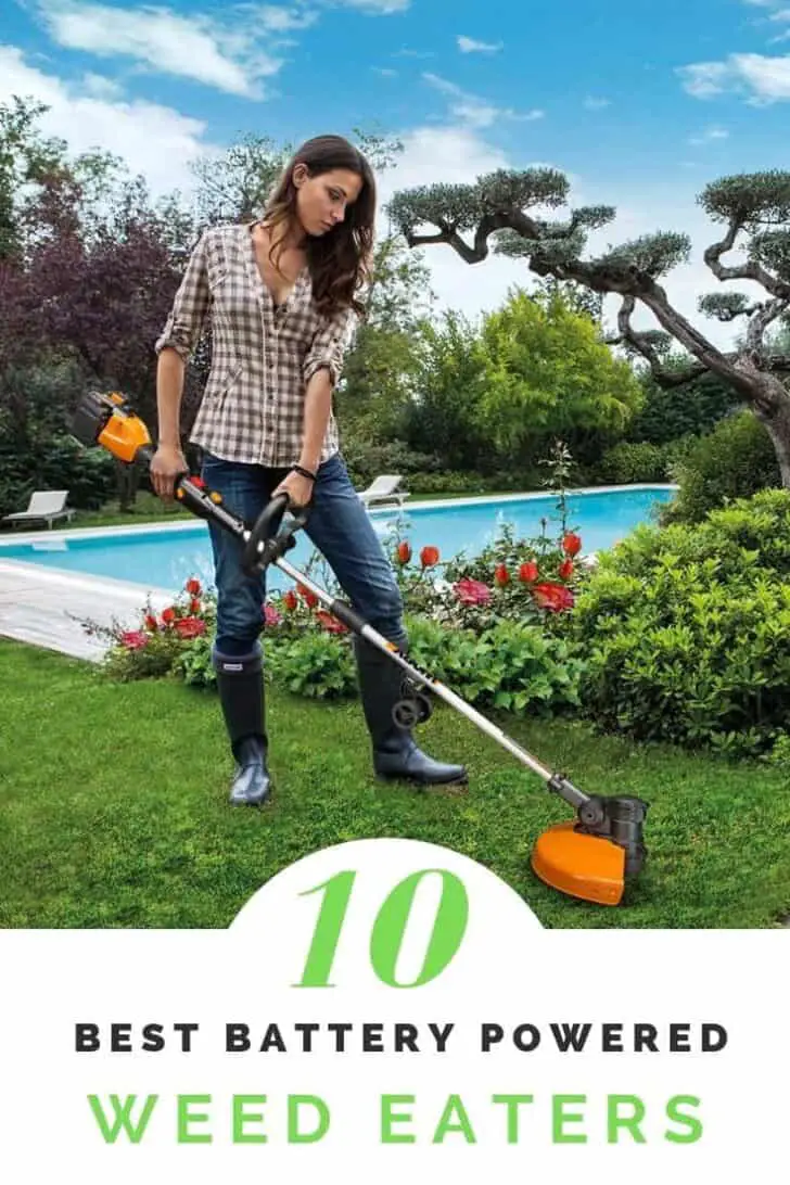 10 Best Cordless Battery Powered Weed Eater of 2019