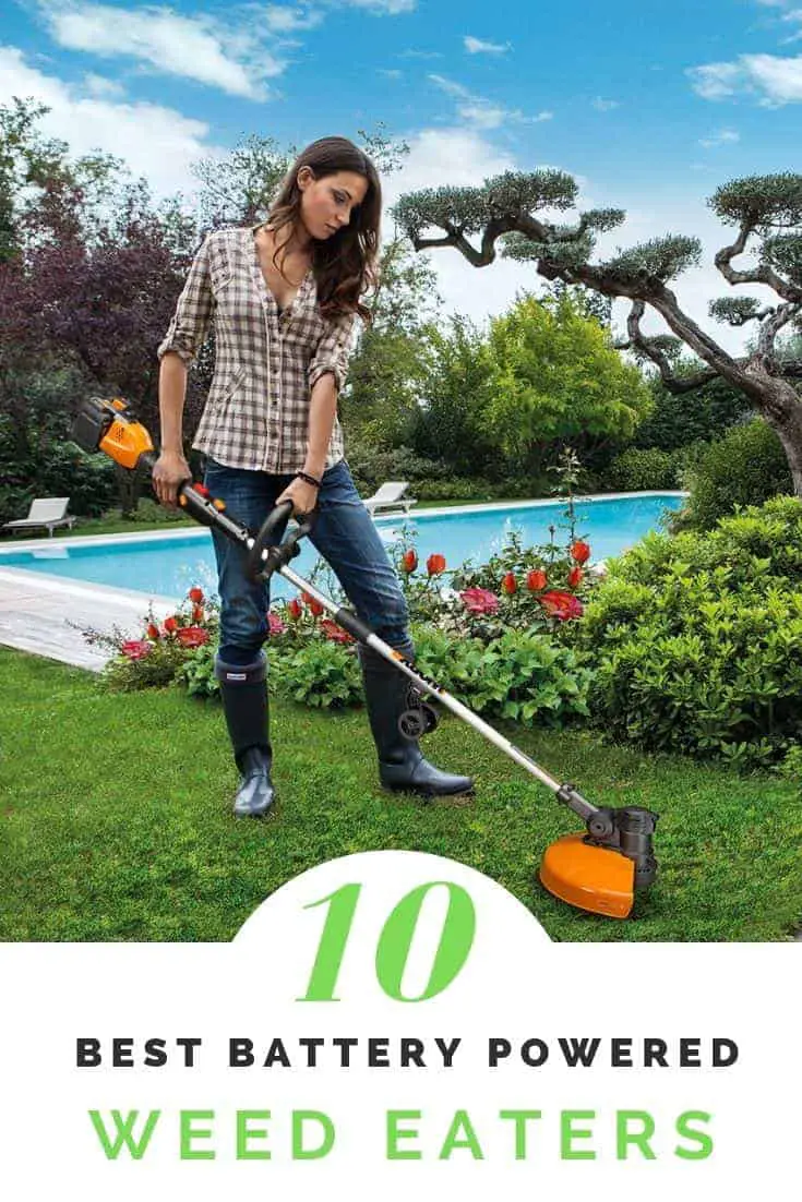 best battery operated weed wacker 2020