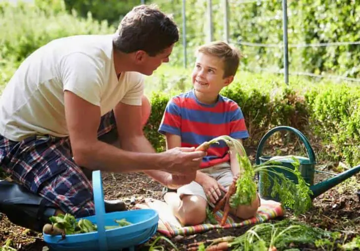 Guide on Kids Gardening 3 - Kids Playhouses & Playgrounds