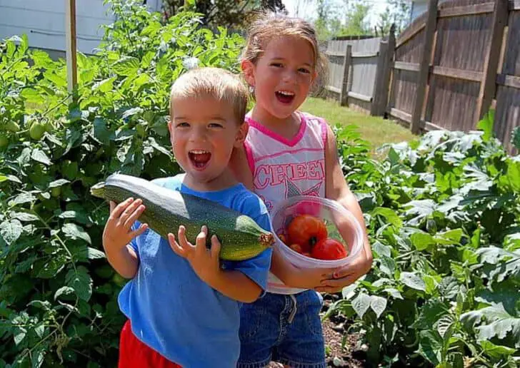 Guide on Kids Gardening 19 - Kids Playhouses & Playgrounds