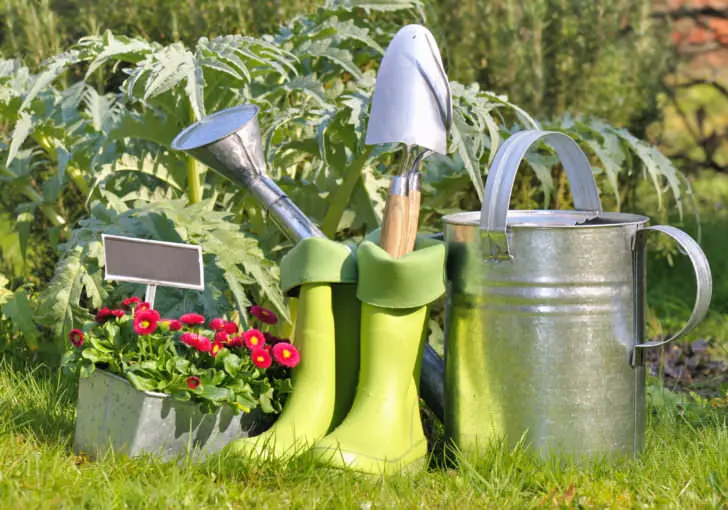 Top 7 Clothing and Accessory Items Every Gardener Should Have 10 - Garden Tools