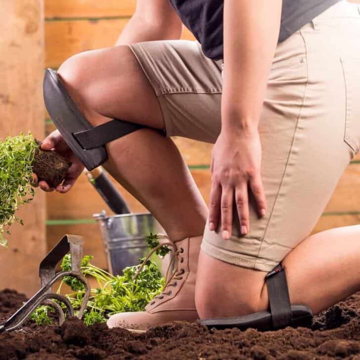 Top 7 Clothing and Accessory Items Every Gardener Should Have 16 - Garden Tools