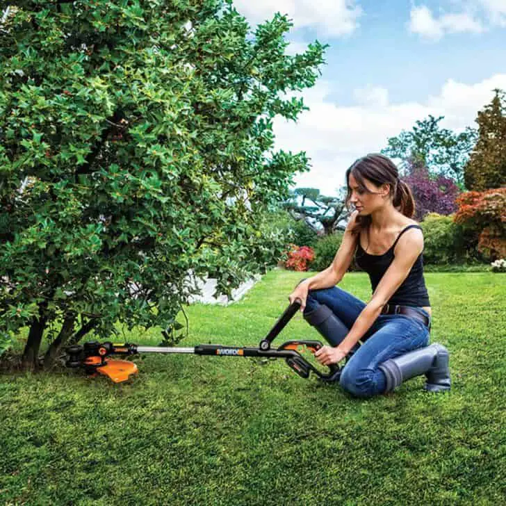 10 Best Cordless Battery Powered Weed Eater of 2019