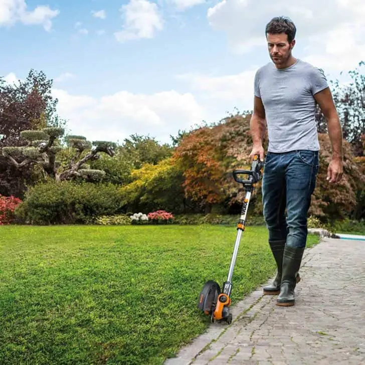 10 Best Cordless Battery Powered Weed Eater of 2019