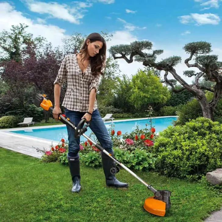 10 Best Cordless Battery Powered Weed Eater of 2019