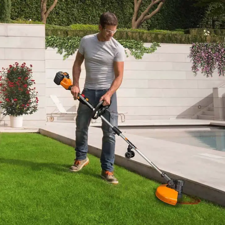 10 Best Cordless Battery Powered Weed Eater of 2019