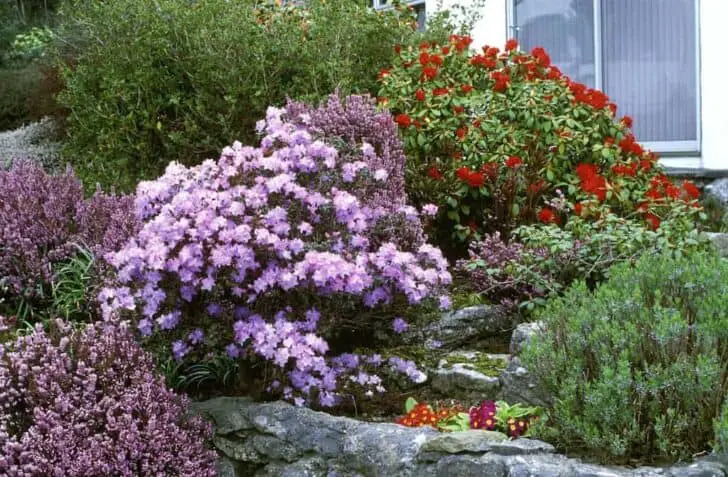 7 Tips For Adding Value To Your Garden 3 - Garden Decor