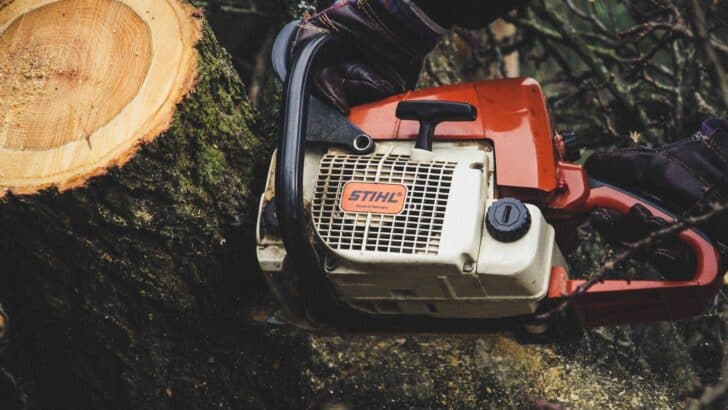 Best Chainsaw for Milling