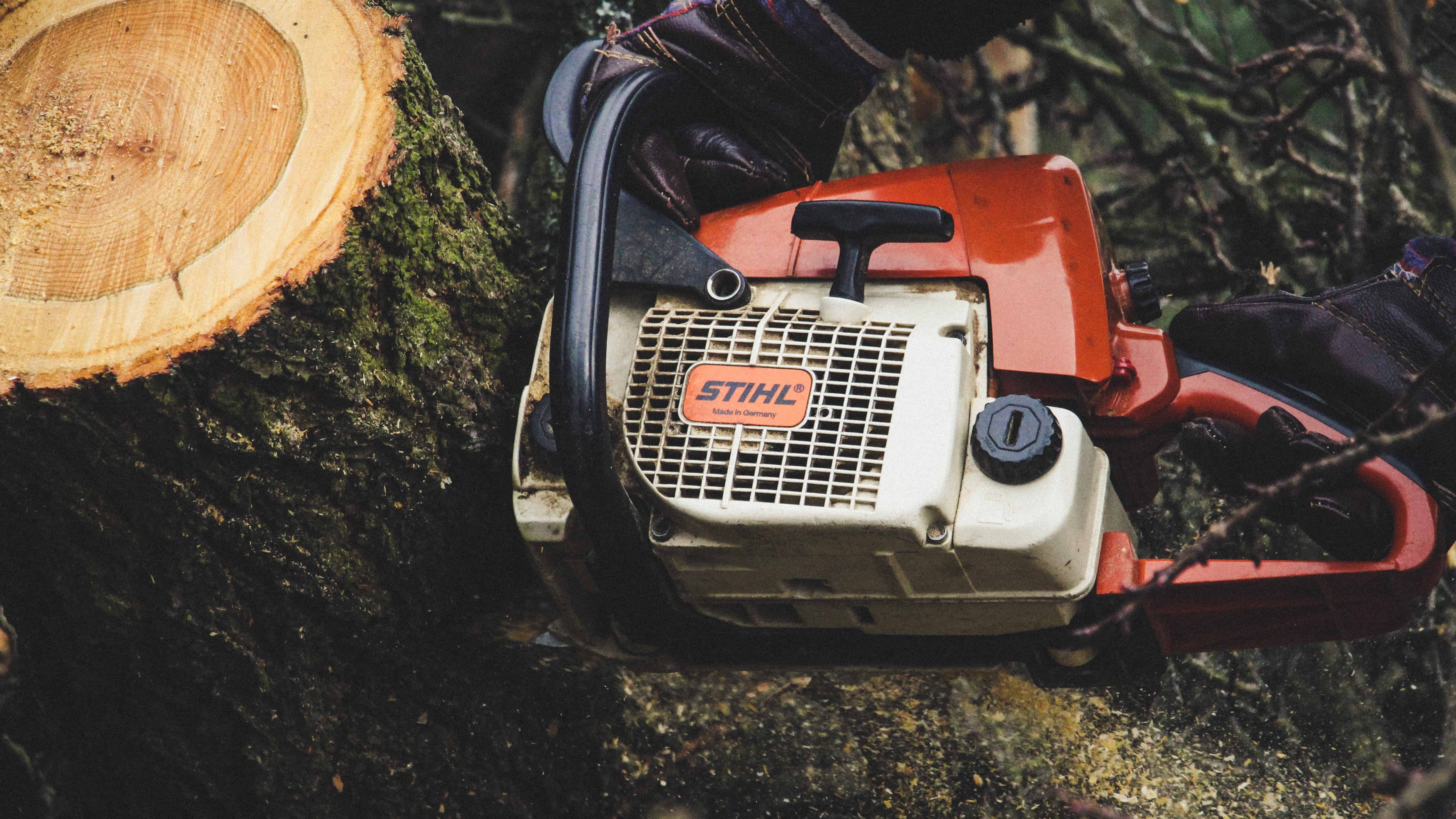 Best Chainsaw for Milling Lumber in 2023 1001 Gardens