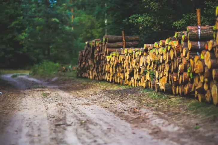 Best Chainsaw for Milling