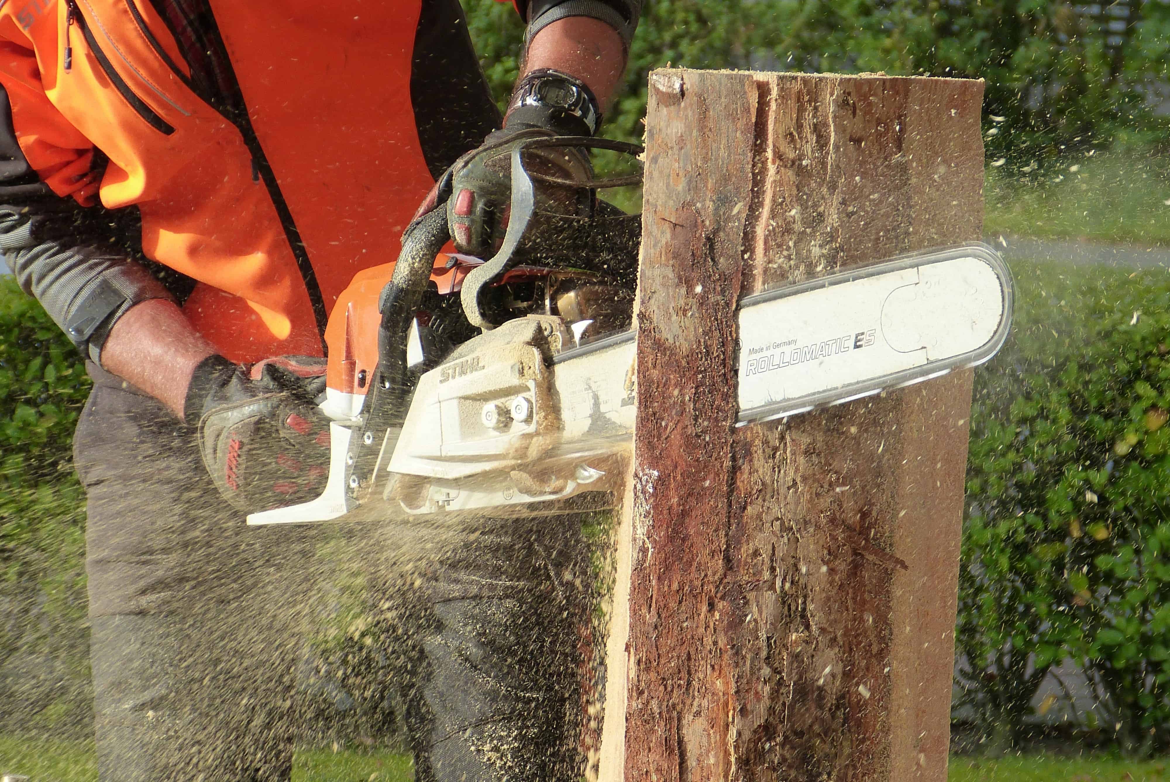 Best Chainsaw for Milling Lumber in 2023 - 1001 Gardens