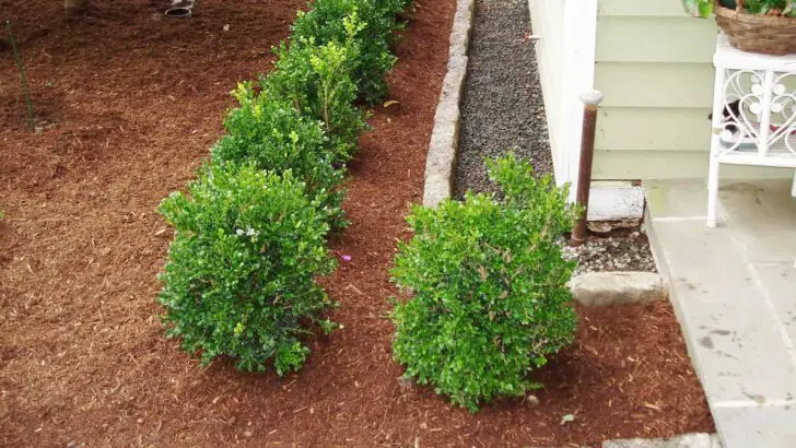 How Proper Landscaping Can Prevent Basement Flooding? 5 - Landscape & Backyard Ideas