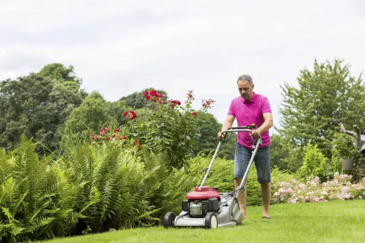 What Are The Different Types of Lawn Mowers? 8 - Garden Tools