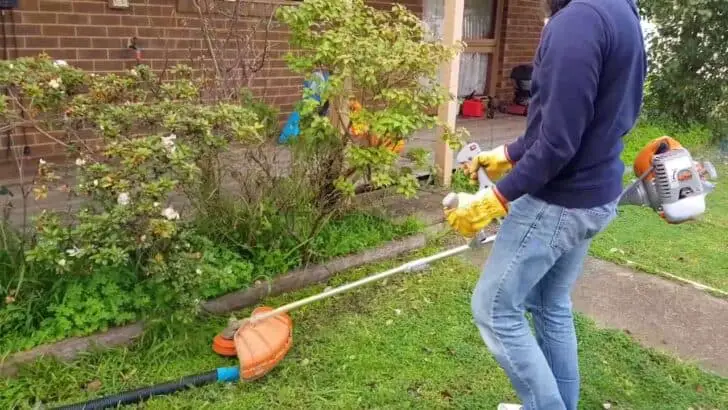 What Are The Different Types of Lawn Mowers? 50 - Garden Tools