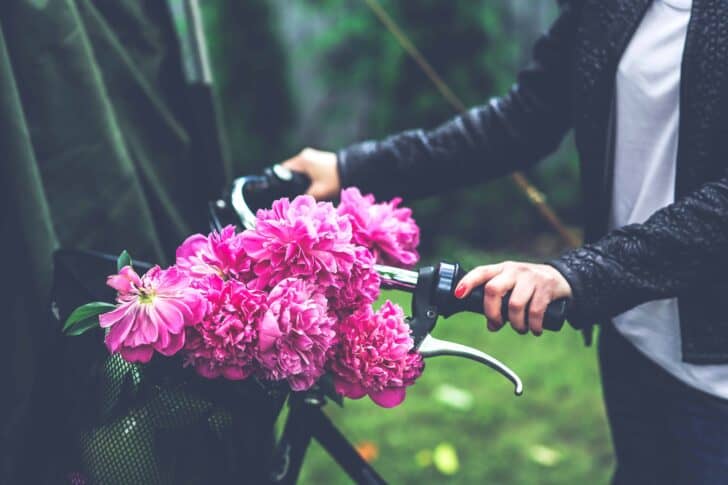 Which flowers to offer for which occasion? 27 - Flowers & Plants