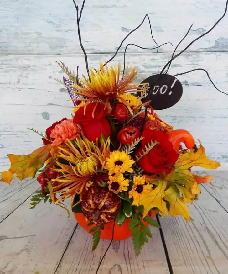 Which flowers to offer for which occasion? 37 - Flowers & Plants