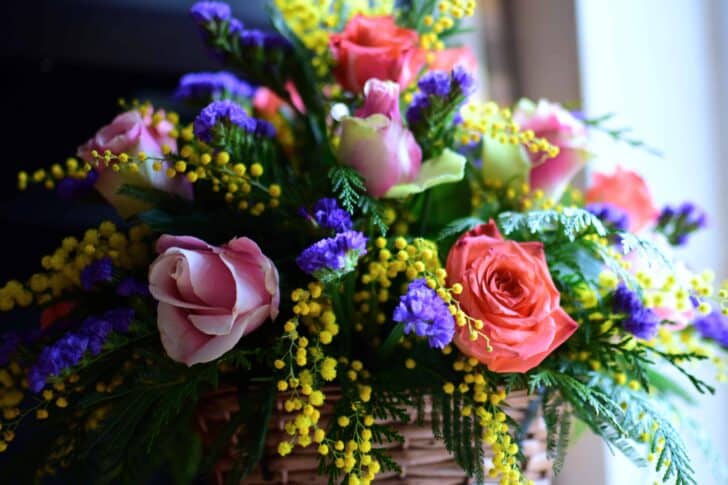 Which flowers to offer for which occasion? 43 - Flowers & Plants