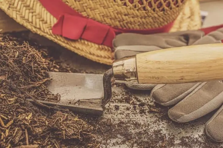 5 Essential Gardening Tools and What They Do 13 - Garden Tools