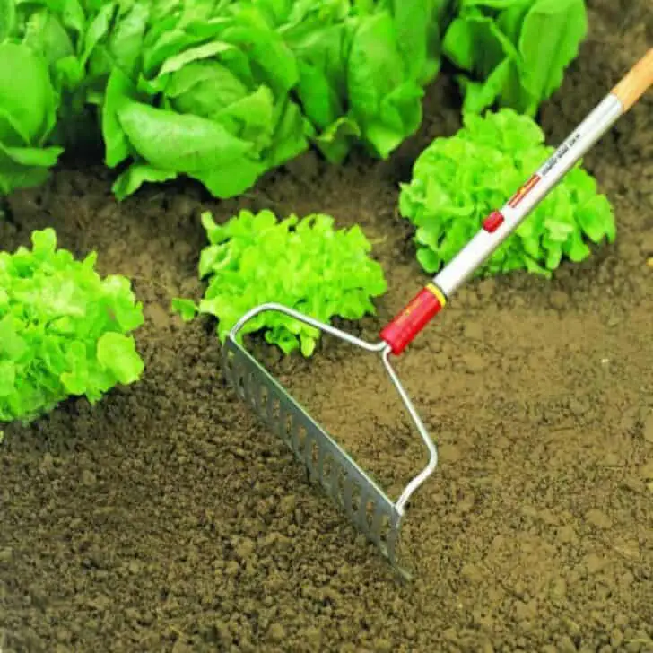 5 Essential Gardening Tools and What They Do 8 - Garden Tools