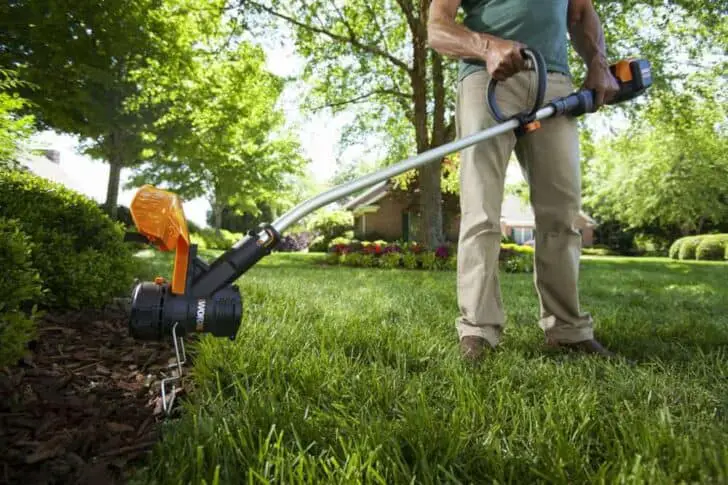 4 Important Tips For Garden Maintenance 5 - Flowers & Plants
