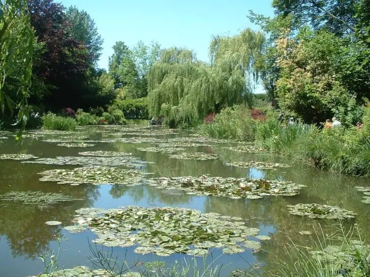 Top 10 Gardens of the World That Can Inspire a Writer 23 - Garden Decor